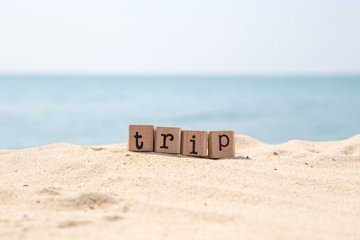 Trip word on wood rubber stamps stack on the seaside for travel concepts, beautiful blue sea view during daytime on a sunny day on background