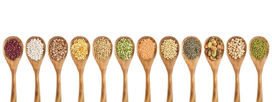 beans, lentils and pea - a collection of food ingredient on isolated wooden spoons