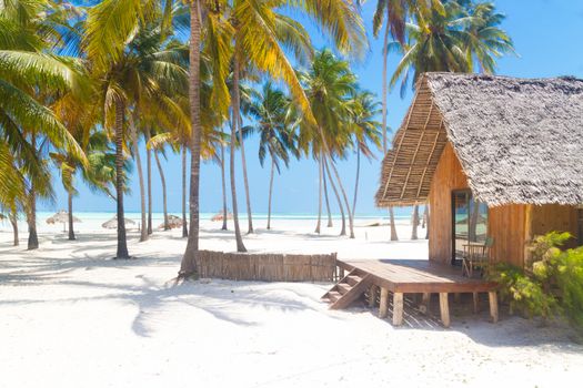 Traditional wooden bungalow on tropical white sandy beach dotted with coconut palm trees. Vacations on picture perfect Paje beach, Zanzibar, Tanzania.