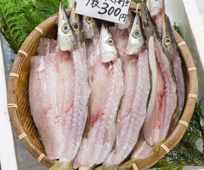 Fresh filleted fish in a Japanese market in Osaka