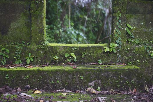 Sacred places of Ubud.
Ubud. Bali. Indonesia. 