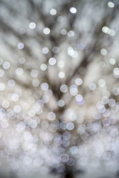 Blurred circles bokeh of tree lights, abstract background