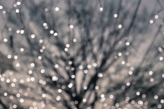 Blurred bokeh lights with deciduous tree on background, retro and vintage style image