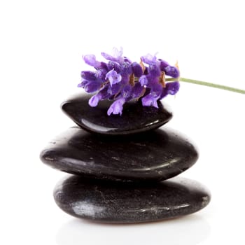 stacked black steping stones and lavender flower over white background