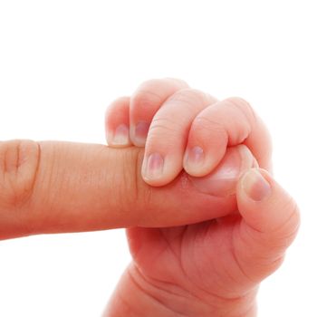 Baby is holding mothers finger isolated on white background 
