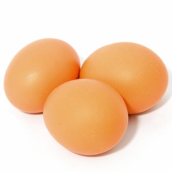 Three brown chicken eggs over white background