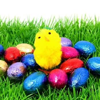 Easter eggs and chicken on grass in closeup