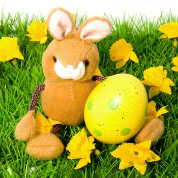 Easter bunny with yellow egg on grass