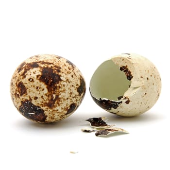 Two Peewit eggs over white background. One is whole and one is broken