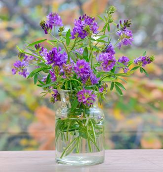 abstract violet flowers in vase