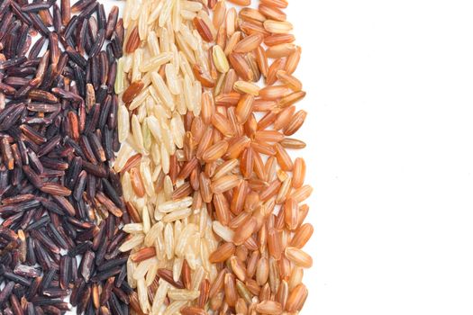 Three variety kinds of brown rice, black ,yellow and brown with copy space