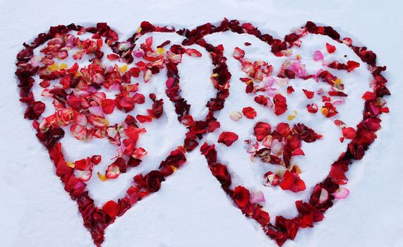 Two hearts on the snow dotted with rose petals