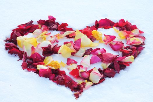 Heart on the snow dotted with  rose petals