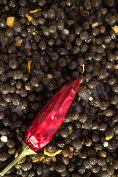 Seeds of papaya are similar to pepper but a little bit more bitter