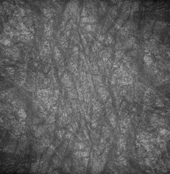 branches of a tree against sky close up
