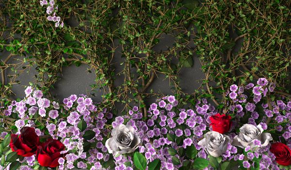 flowers rose holiday background on gray wall