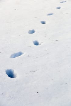 Footsteps in Snow