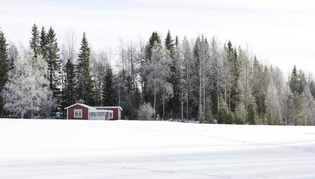 Traditional Swedish Cottage in Winter