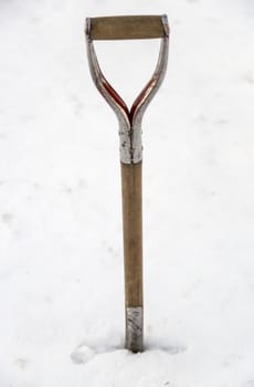 Shovel in Snow