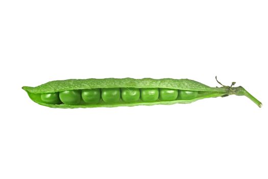 Snap peas, Pisum sativum var. macrocarpon also known as sugar snap peas, are a cultivar group of edible-podded peas.