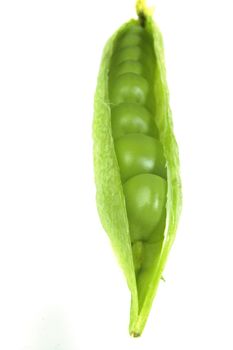 Snap peas, Pisum sativum var. macrocarpon also known as sugar snap peas, are a cultivar group of edible-podded peas.