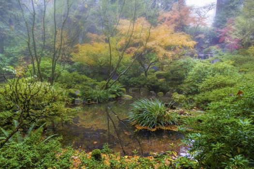 Foggy Morning by the Pond at Portland Japanese Garden in Autumn