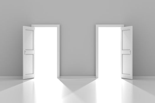 Two doors with copyspace, 3d render