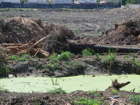 view of mud field and the basin