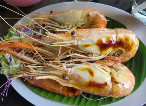 closed up the grilled shrimp on a dish