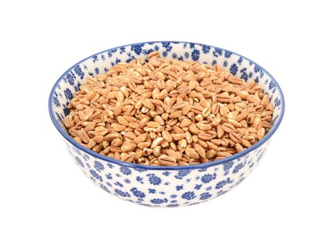 Farro dicocco, or Italian spelt, in a blue and white porcelain bowl with a floral design, isolated on a white background