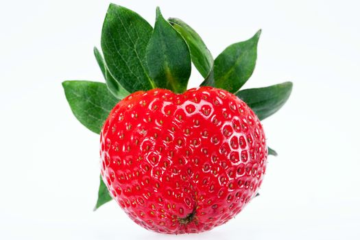 single fruit of red strawberry isolated on white background