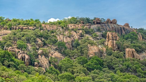 Lush green vegetation on the rocky hills at the outskirts of Gaborone, Botswana