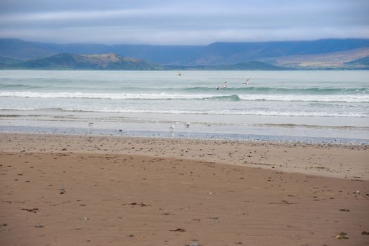 the maharees a beautiful beach in county Kerry Ireland