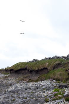 the rocky coastline of the wild atlantic way in county Kerry Ireland