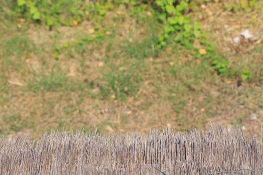 thatched roof on blur grass