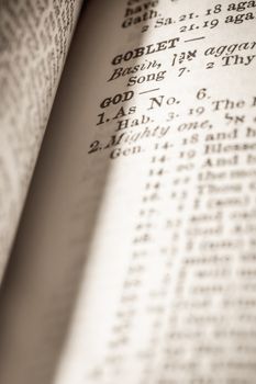 god references in the shadows of a bible page