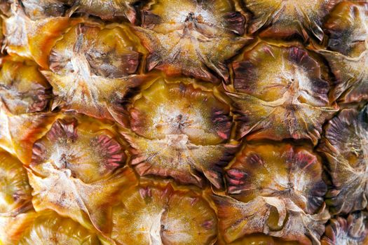 skin of fresh pineapple close up