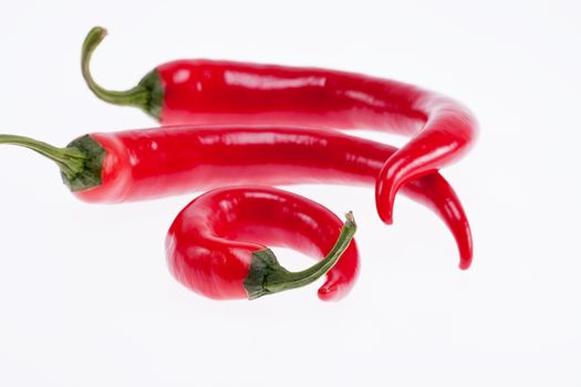 red peperoni peppers isolated on white background