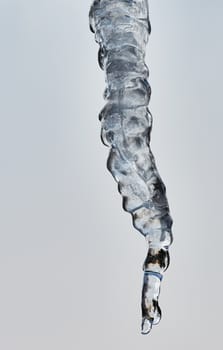 Close-up of large icicle melting showing every details of the reflected light