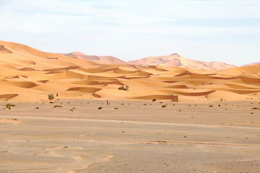 Erg Chebbi desert in Morocco Africa