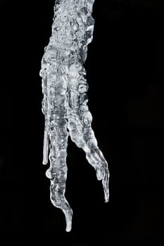 Close-up of large icicle in December