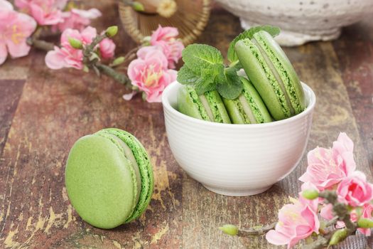 A teacup filled with matcha green tea macarons with cherry blossom over rustic background. Macro, selective focus