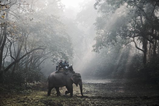 SAURAHA, NEPAL - CIRCA DECEMBER 2014: Tourists doing an elephant safari in Chitwan National Park.