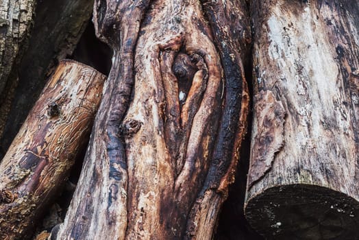 Close-up of old wooden logs