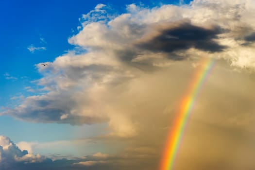 Rainbow breaks through the cumulus clouds in July