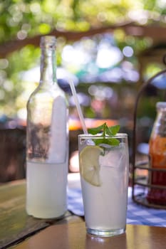 Ice cold lemonade served with mint leaves on a hot summer day under a tree shade