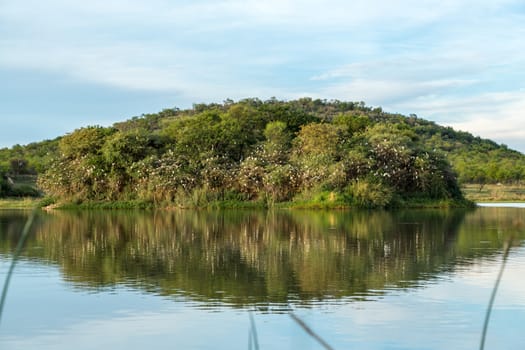 Thousands of birds nest on a small island surrounded by a lake at the Mokolodi Nature Reserve in Botswana