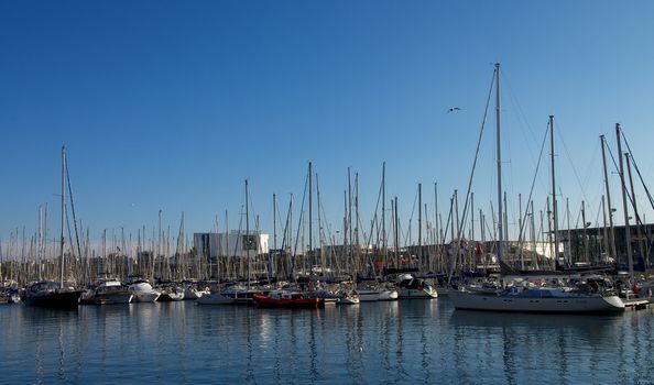 Various Anchor Yachts in Marina of Barcelona, Spain