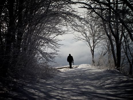 Winter Road through Snowy Trees and Walking Alone Man against Cloudy Sky Outdoors