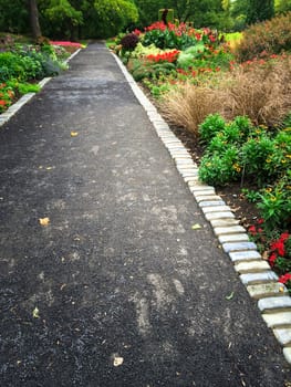 Path in a colorful summer garden with blooming flowers.